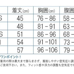 【新品未使用】ヘレイワホ フローティングベストの画像