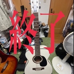
アコースティックギターPro Martin プロマーチン　CF...