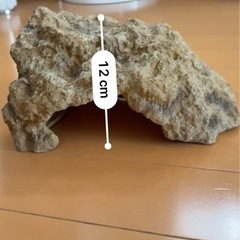 爬虫類　シェルター
の画像