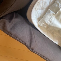 ファルスカ　レギュラーサイズ
の画像