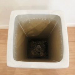 観葉植物 陶器製　鉢カバー 植木鉢  白　ホワイトの画像