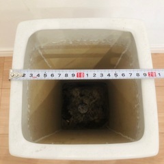 観葉植物 陶器製　鉢カバー 植木鉢  白　ホワイトの画像