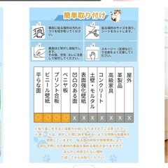 猫壁シートの画像