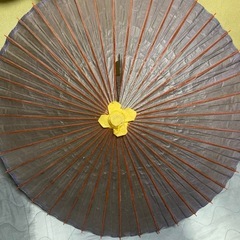 骨董レトロセットの画像
