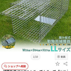 サムネイル