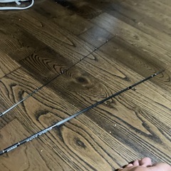 新品未使用ゼスタブラックスターセカンドジェネレーション53b Sベイトフィネスの画像