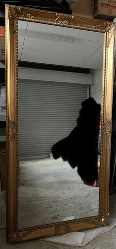 畳1枚分くらいの大きな鏡