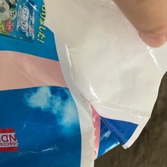 犬用マナーパンツの画像