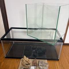 水槽と石の画像