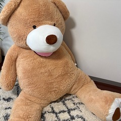 ワニとくま巨大ぬいぐるみの画像