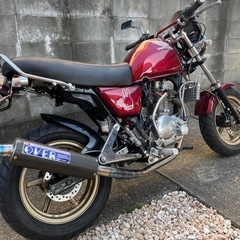 車両交換可　ホンダ　エイプ100　TYPE D フルカスタム　ヨシムラ115cc　の画像