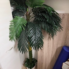 人工観葉植物
の画像