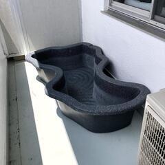 【水槽関連】なごみ池　LWの画像