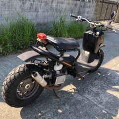 ホンダ　ズーマー　書類付きレストアベース車の画像