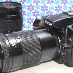 極美品☆Canon EF-S 55-250mm IS☆望遠レンズ☆手振れ補正