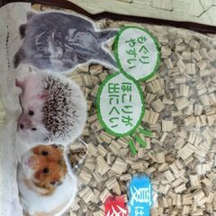 紙床の画像