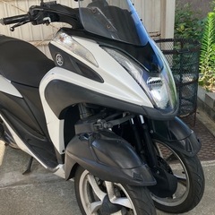 YAMAHA トリシテイ　125 ccの画像