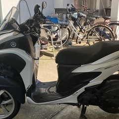 YAMAHA トリシテイ　125 ccの画像