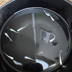 受け渡し者様決まりました。メダカ(エメキン)の画像