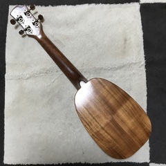 レア Kブランド パイナップルソプラノロングネックウクレレ KK-201PP ソフトケース付の画像