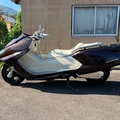マグザム250の画像