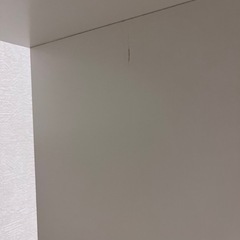 IKEA KALLAX カラックス 棚 フレーム付き の画像