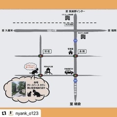 🍉岡田ほご猫譲渡会🍉8月24日(日)13時〜16時 − 福岡県