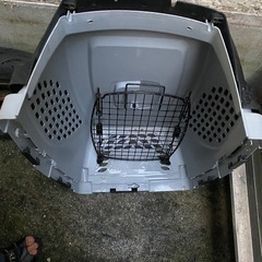 猫の保護活動してる方限定　無料