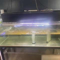 1800水槽　奥行900 アクリル水槽　大型水槽 水槽用品　水槽機材の画像
