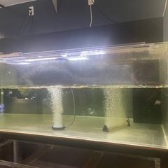 1800水槽　奥行900 アクリル水槽　大型水槽 水槽用品　水槽機材の画像