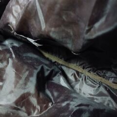 (未使用)Model Primlero ハンドバッグの画像