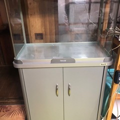 水槽・水槽台セット　水槽のみ4000円❗️の画像