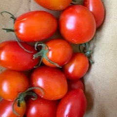 【 無農薬 】新鮮野菜セットの画像