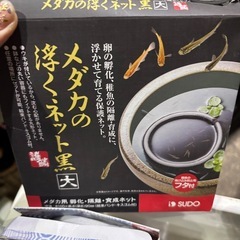【決まりました】メダカ　引退品　まとめて　の画像