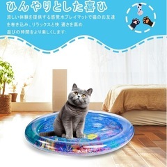 犬・猫用ウォーターマットの画像