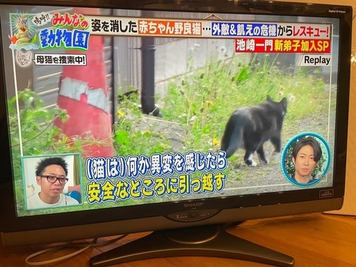ち　SHARP AQUOS LC-40SE1 中古品 SHARP AQUOS LC-40SE1 液晶テレビ 40型 - メルカリ
