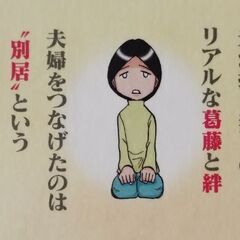 コミックエッセイ　本　縁距離な夫婦　躁うつといわれた嫁との20年日記の画像