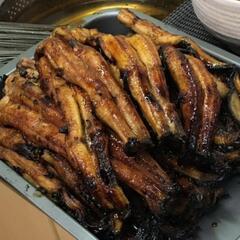 84.o(^o^)o夏だ！鰻釣りだ　鰻釣り　　ラインオープンチャット　　　　　【鰻遊会】メンバー募集中❗ - 京都市