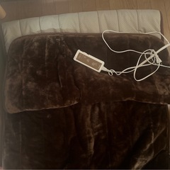 【便利❗️】1人用電気カーペットの画像