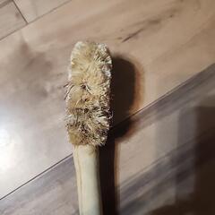 ブラシの画像
