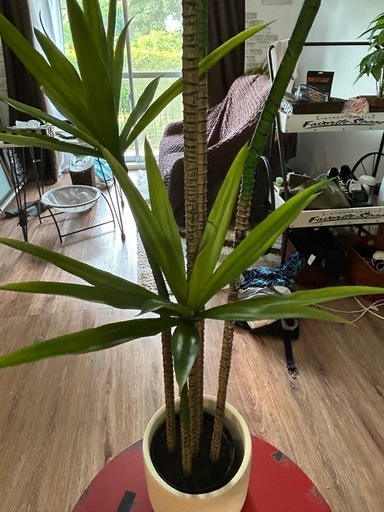 フェイク観葉植物