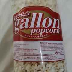 大量　mild salt gallon Popcorn
ポップコーン　400g入り
1袋
の画像