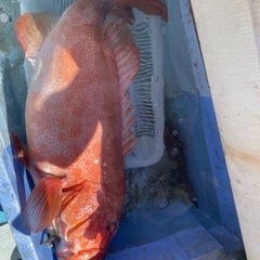 8月10日(日曜日)沖釣り🎣行きましょ〜🤭