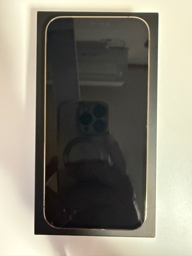 極上美品 iPhone12 Pro 256GB ゴールド SIMフリー おまけ付き