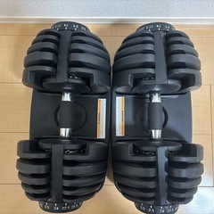 WORT 可変式 ダンベル ✖️２ 【引き取り限定／東京都江東区】 WORT 可変式 ダンベル ✖️2 【引き取り限定／東京都江東区
