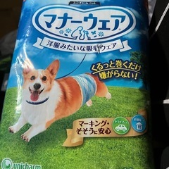 犬　オムツ　男の子　Lサイズ　40枚の画像