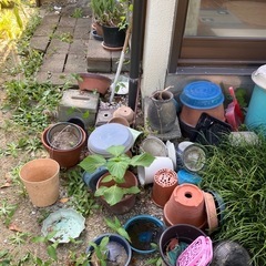 【終了】植木鉢 その他 取りに来てくれる方の画像