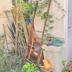 【終了】植木鉢 その他 取りに来てくれる方の画像
