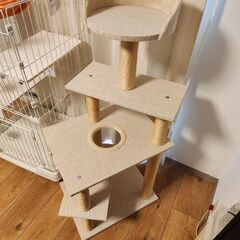 キャットタワーの画像