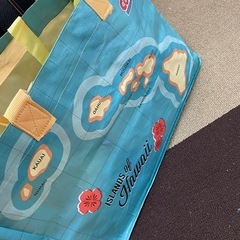 Hawaii Costco限定エコバッグセットの画像